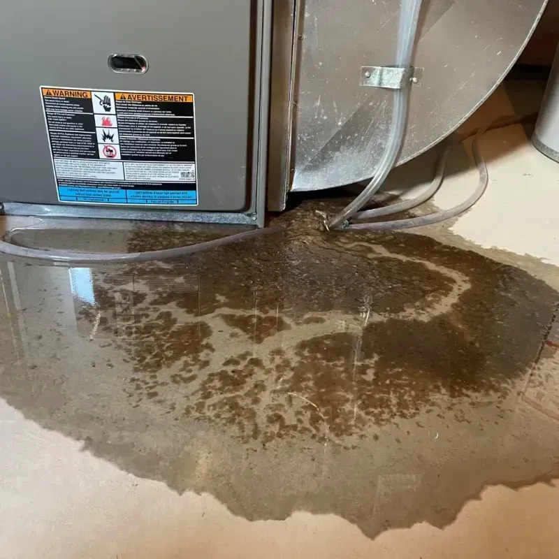 Appliance Leak Cleanup in Wellston, OH